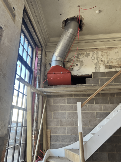 ellonies before image